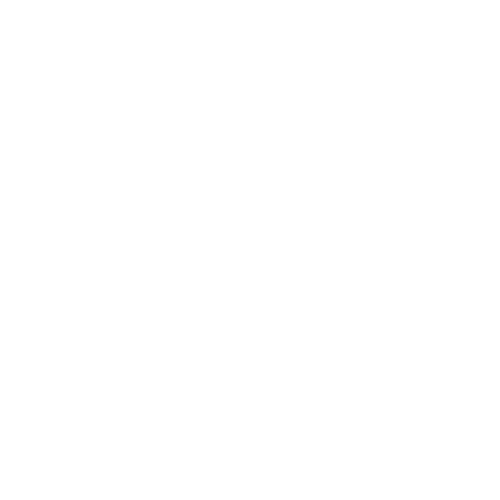 White star logo representing Leadership Properties, symbolizing community and elegance in Northwest Arkansas residential developments.