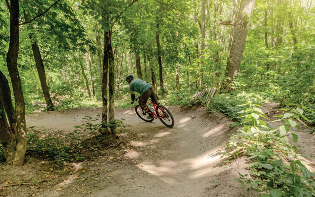 Mountain biker navigating a dirt trail surrounded by lush greenery, emphasizing active lifestyle and outdoor adventure near Echelon community in Bentonville.